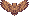 Cute Owl Wing