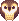  Cute Owl On Top