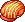 Golden Turtle Hat