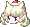 Big Primrose Head